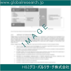 グローバルリサーチ調査資料のイメージ